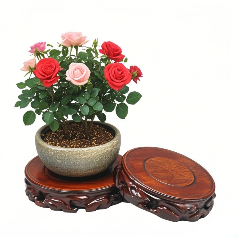 Houten plantenonderzetter & bl - Coffee Tea Garden recensie en prijs